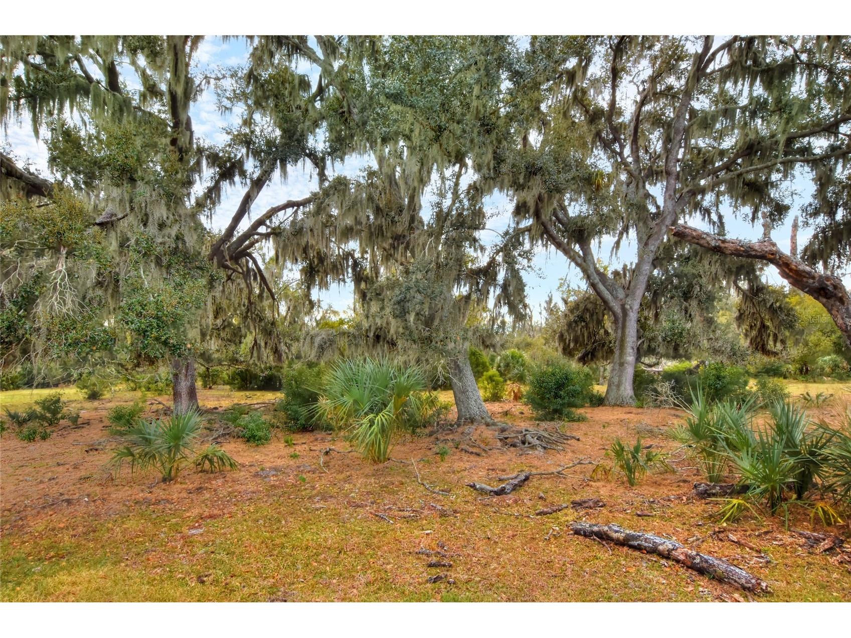 0 Carlton Lake Road Wimauma FL 33598 TB8471512 image5