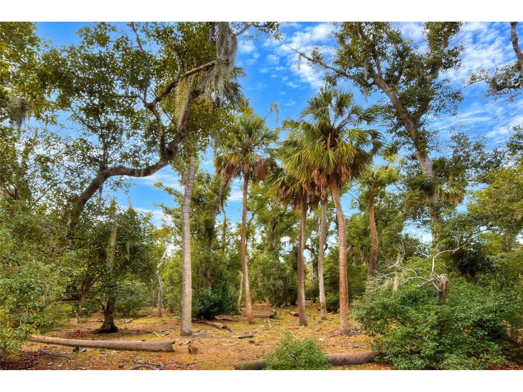 0 Carlton Lake Road Wimauma FL 33598 TB8471512 image6