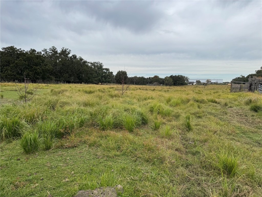 0 Cason Road Plant City FL 33566 TB8444973 image10