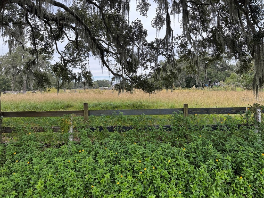 0 Cason Road Plant City FL 33566 TB8444973 image4