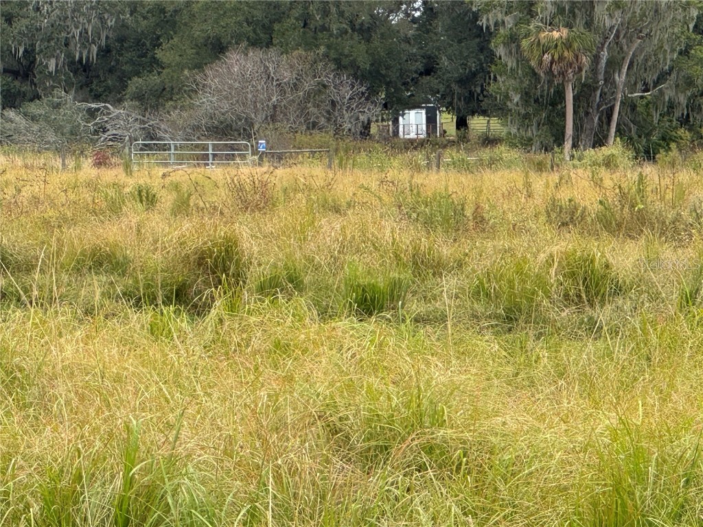 0 Cason Road Plant City FL 33566 TB8444973 image8