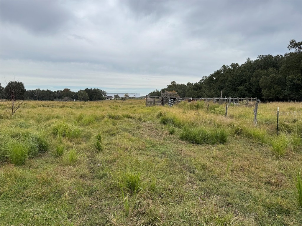 0 Cason Road Plant City FL 33566 TB8444973 image9