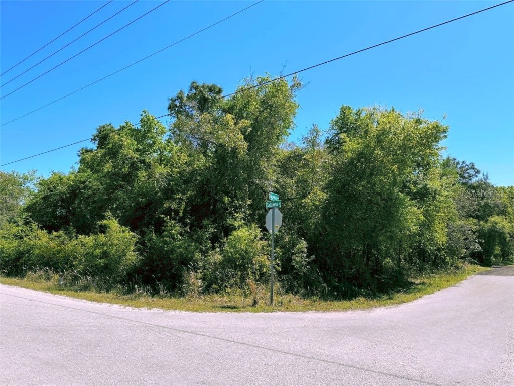 0 Catalona Avenue New Port Richey FL 34654 T3436018 image1