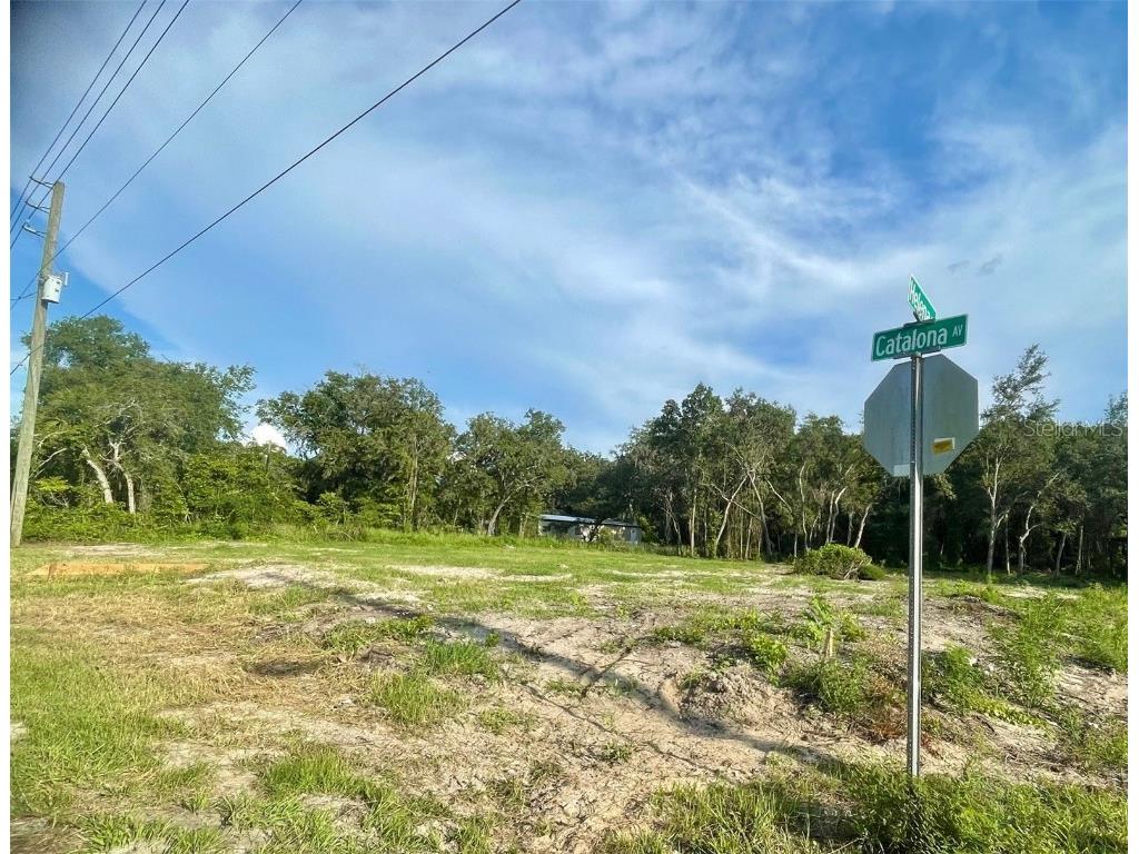 0 Catalona New Port Richey FL 34654 U8250338 image1