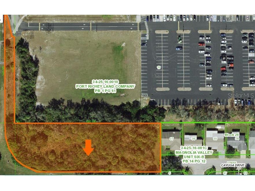 0 Cayuga New Port Richey FL 34653 TB8494062 image1