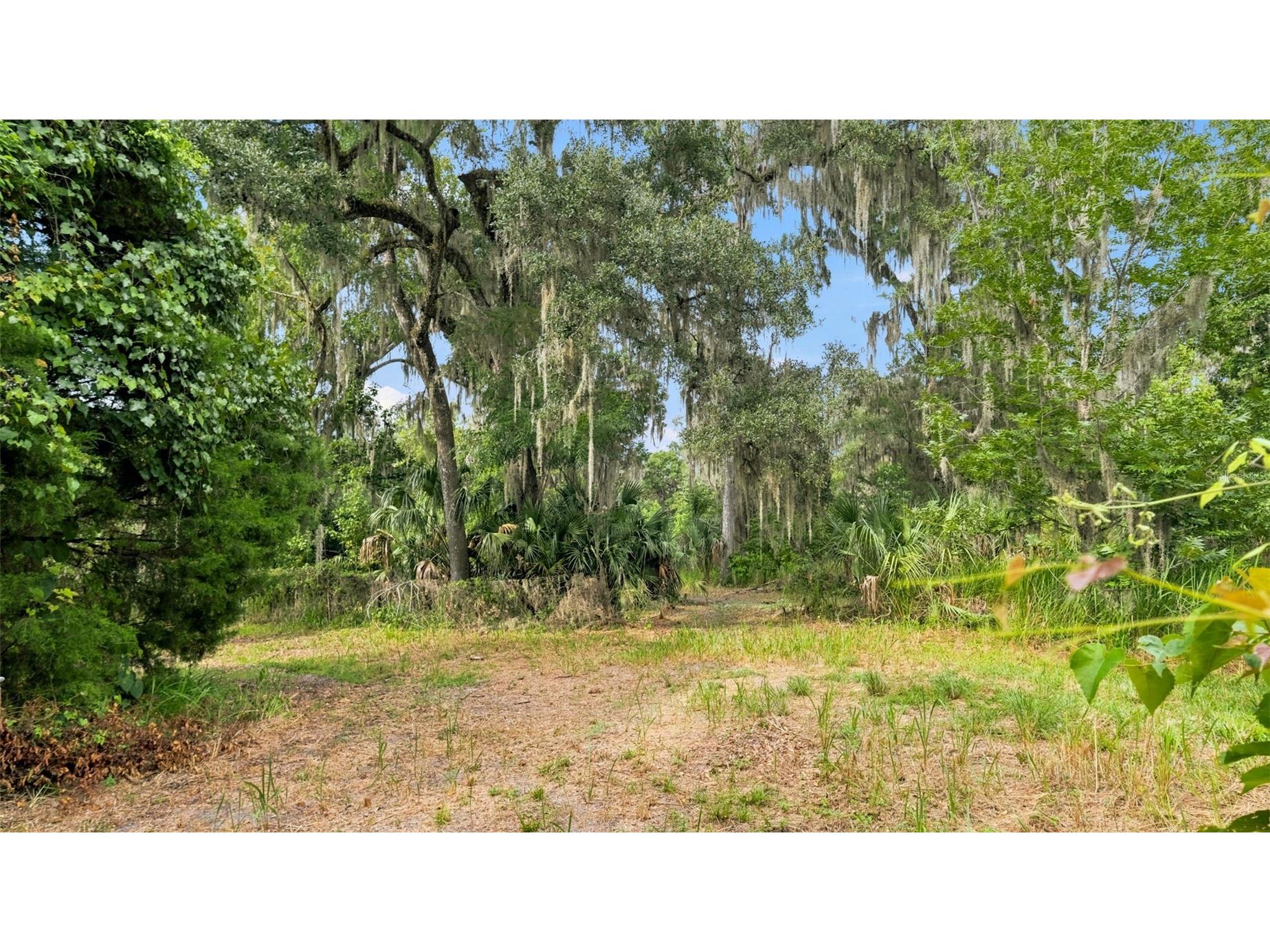 0 Cedar Lane Brooksville FL 34601 W7887430 image3