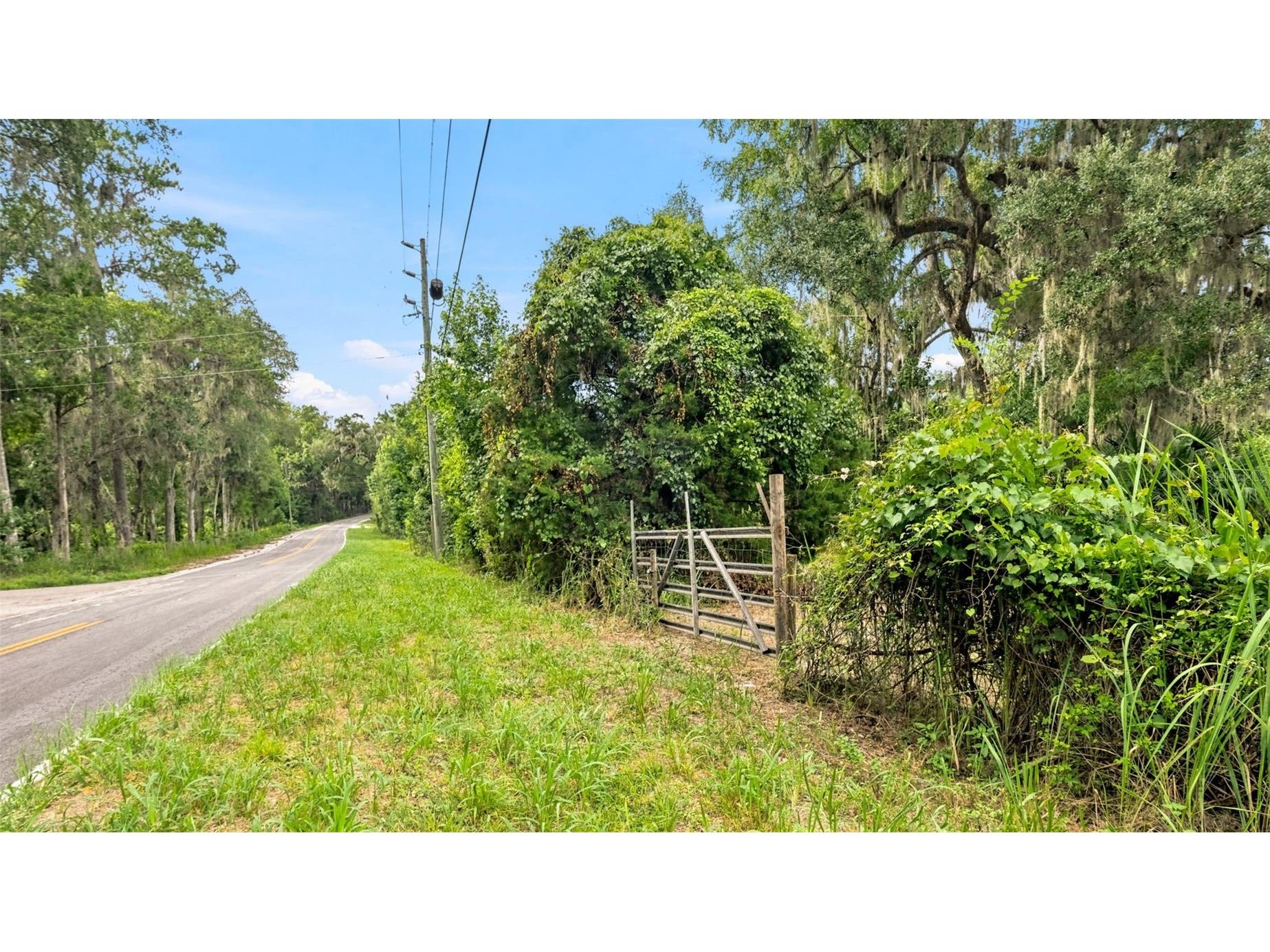 0 Cedar Lane Brooksville FL 34601 W7887430 image6