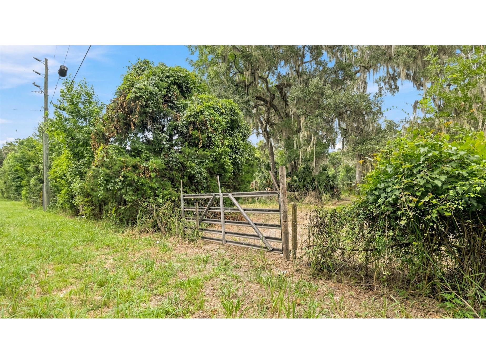 0 Cedar Lane Brooksville FL 34601 W7887430 image7
