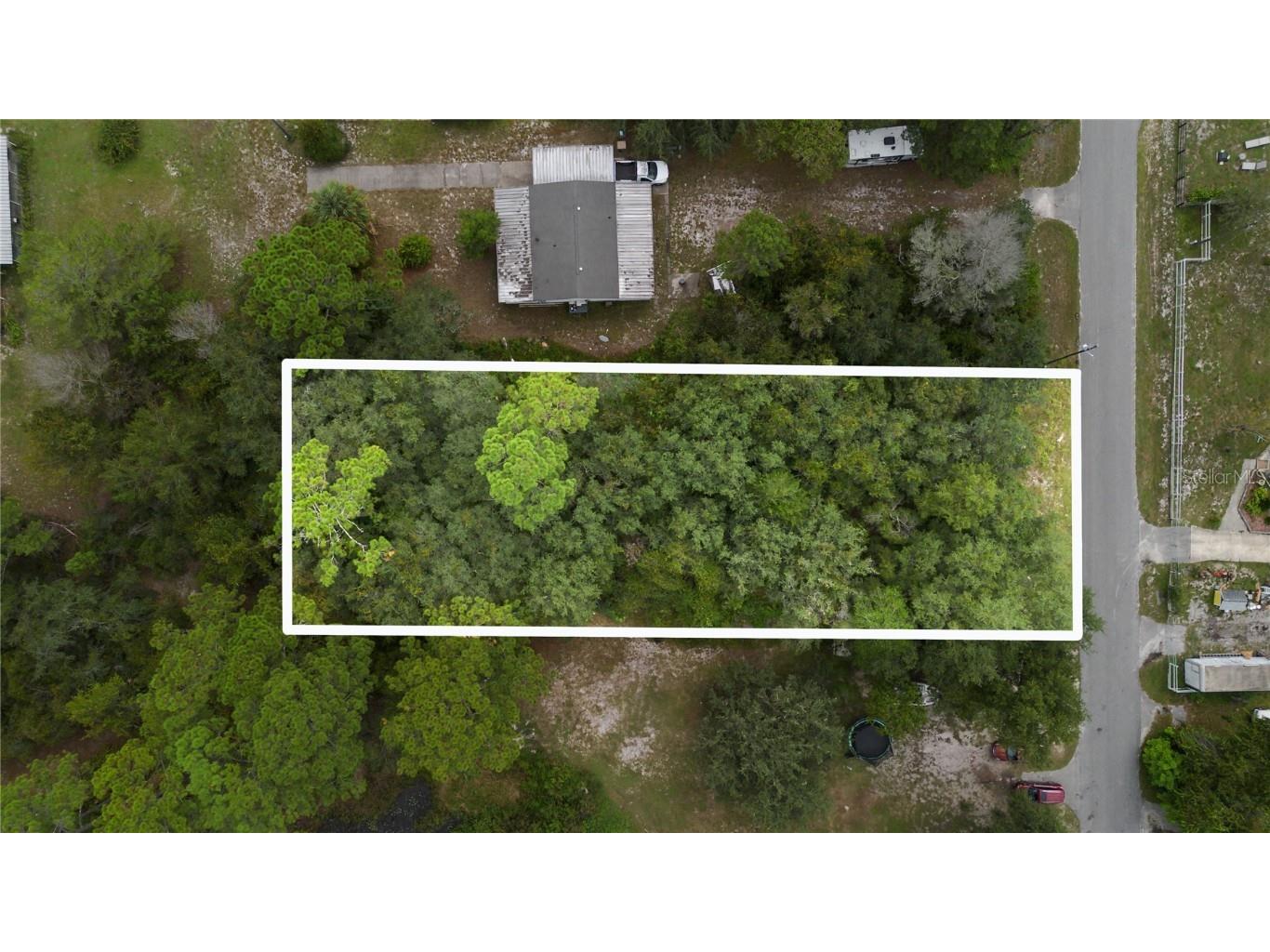 0 Cedar Street Paisley FL 32767 V4945289 image1