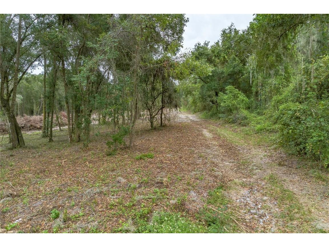 0 Cedar Tree Drive Brooksville FL 34602 T3406671 image1