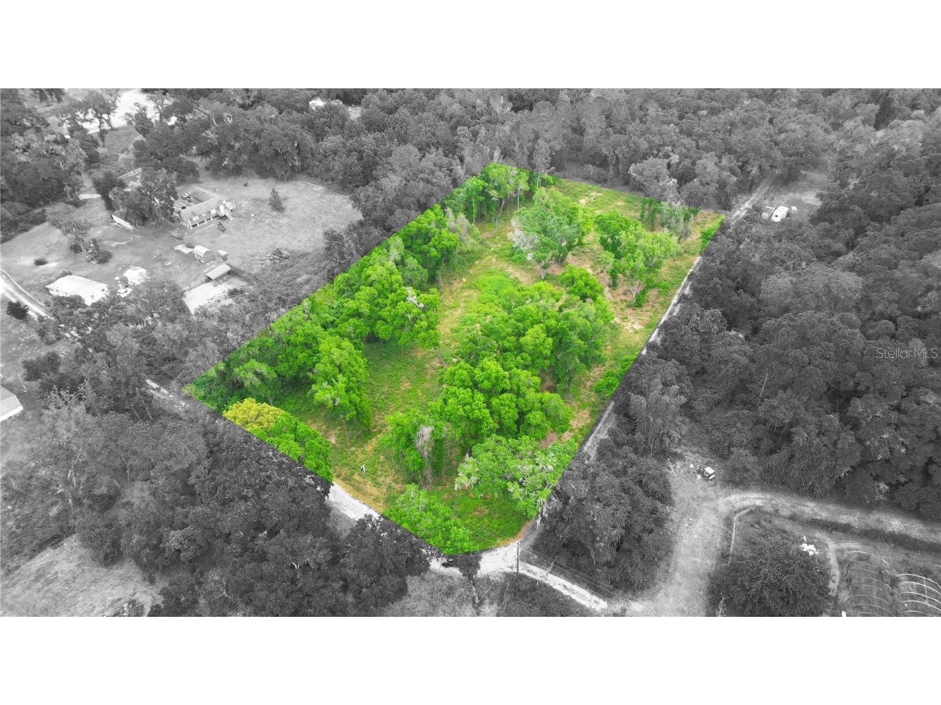 0 Cedar Tree Drive Brooksville FL 34602 T3514113 image1