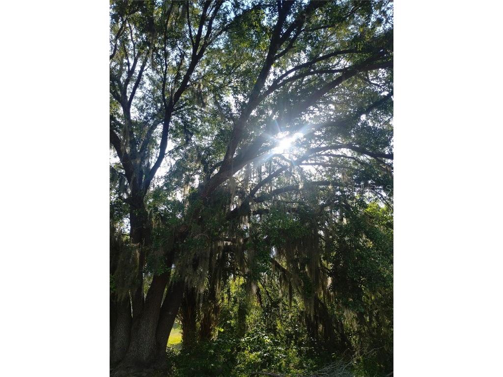 0 Cedarwood Drive N Lake Wales FL 33898 L4951343 image1