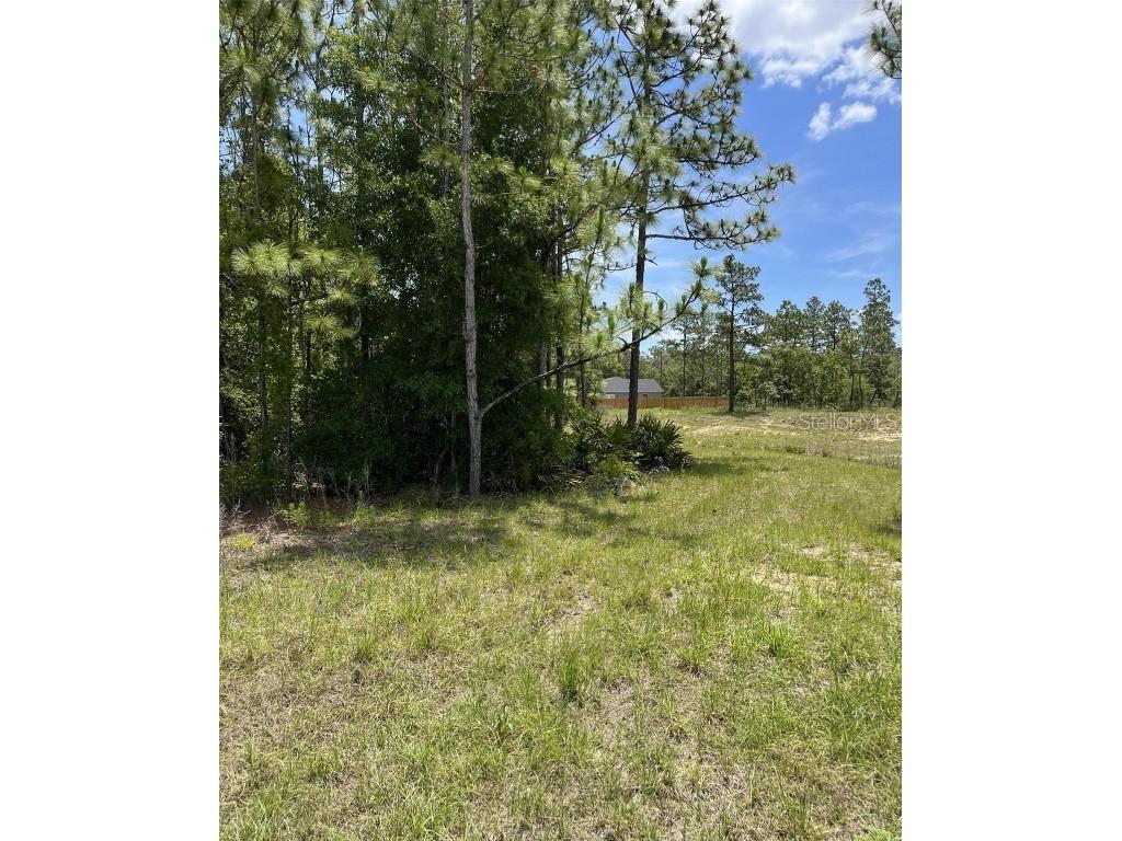 0 Celeste {lot6} Avenue Weeki Wachee FL 34614 W7875823 image1