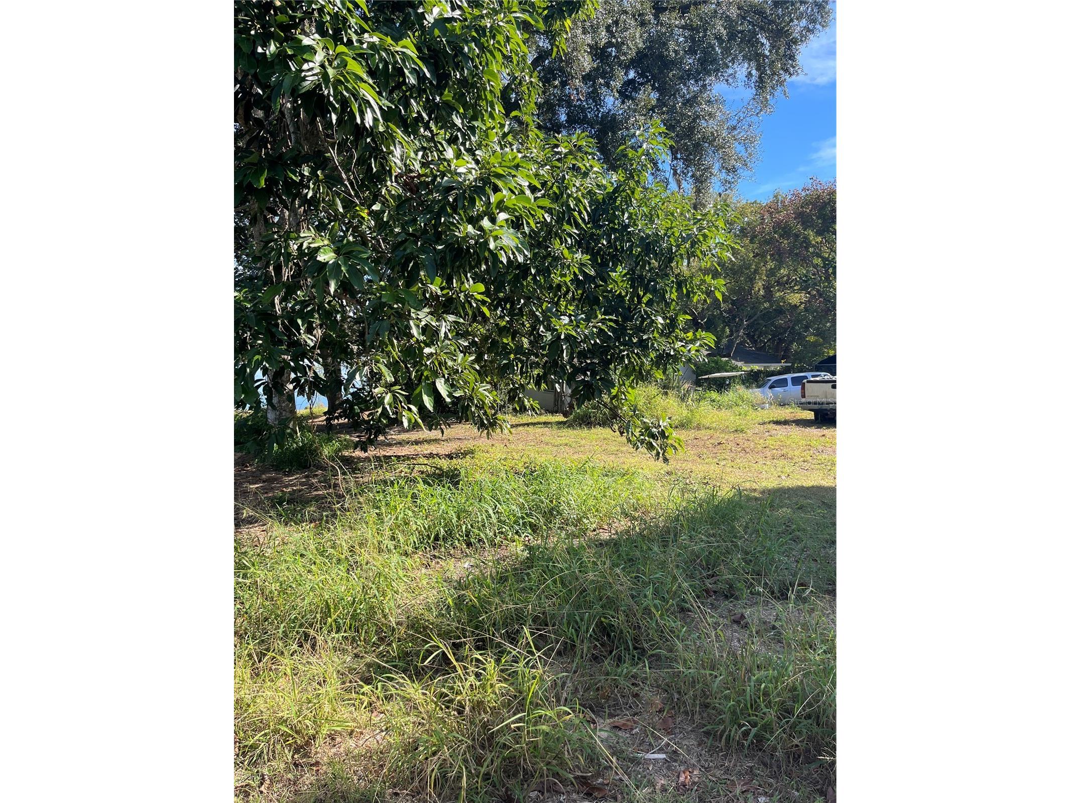 0 Central Avenue Bartow FL 33830 - Star Lake P4937264 image10