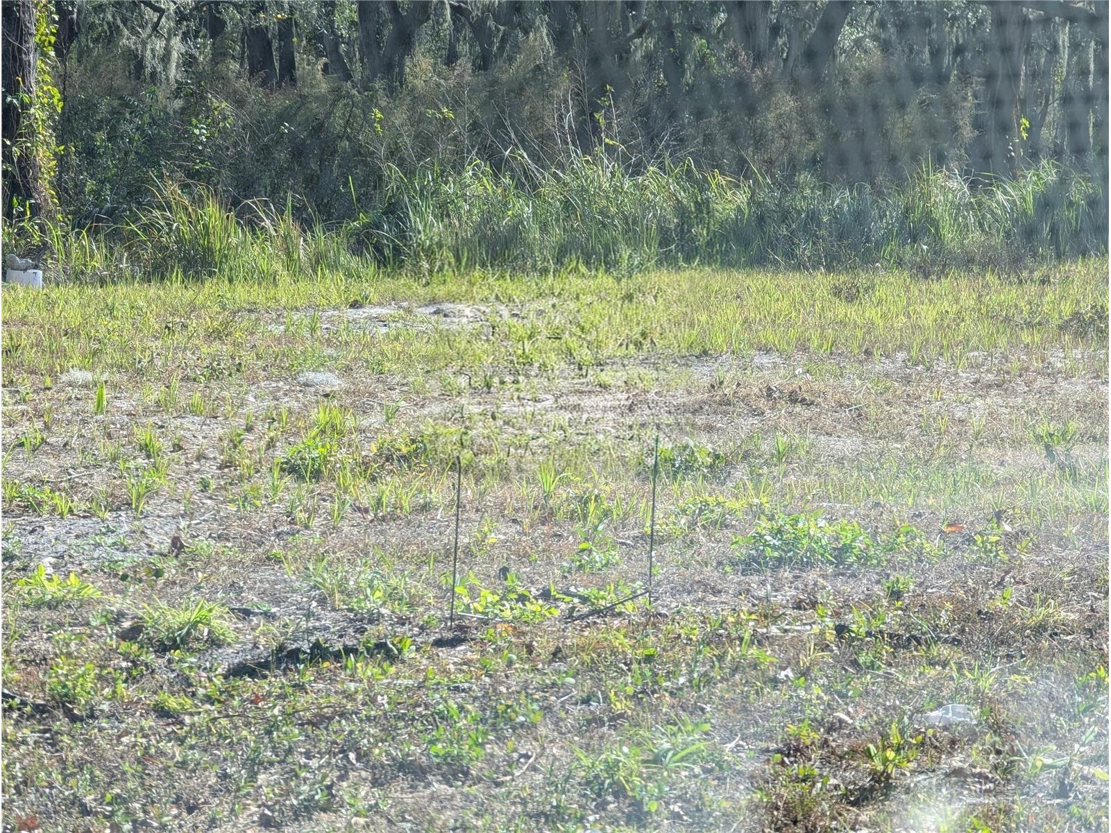 0 Central Avenue Mulberry FL 33860 O6409774 image1