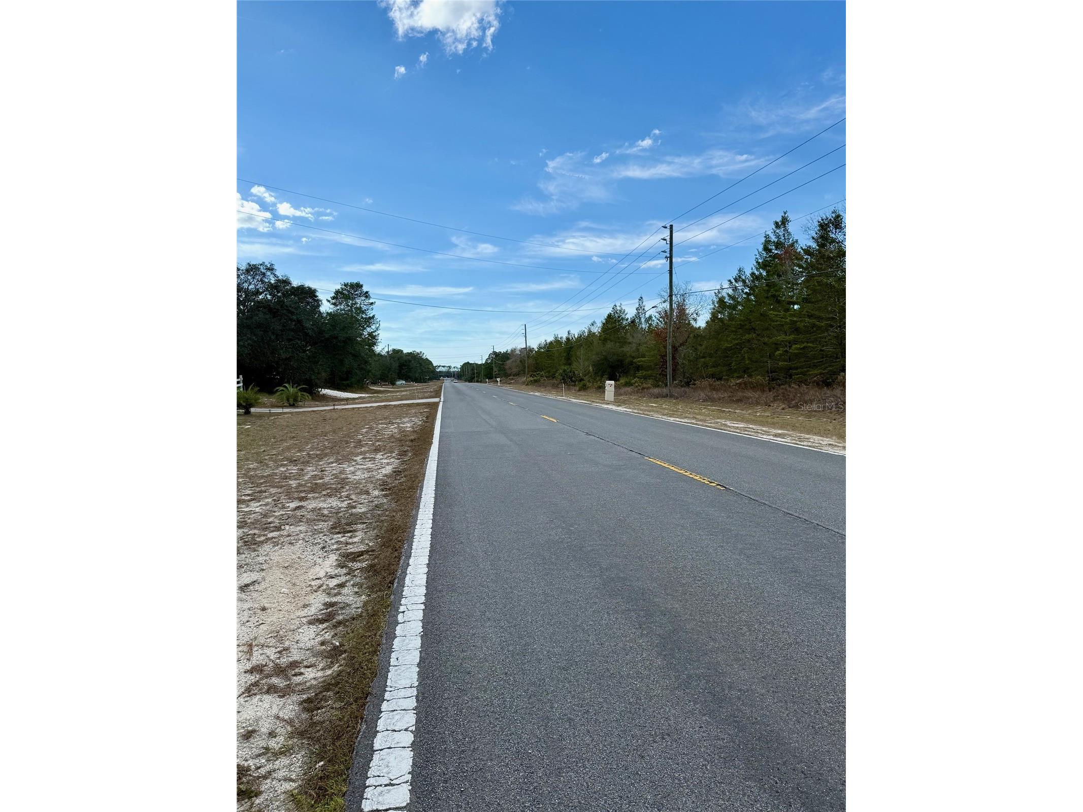 0 Centralia Road Weeki Wachee FL 34614 W7881858 image4