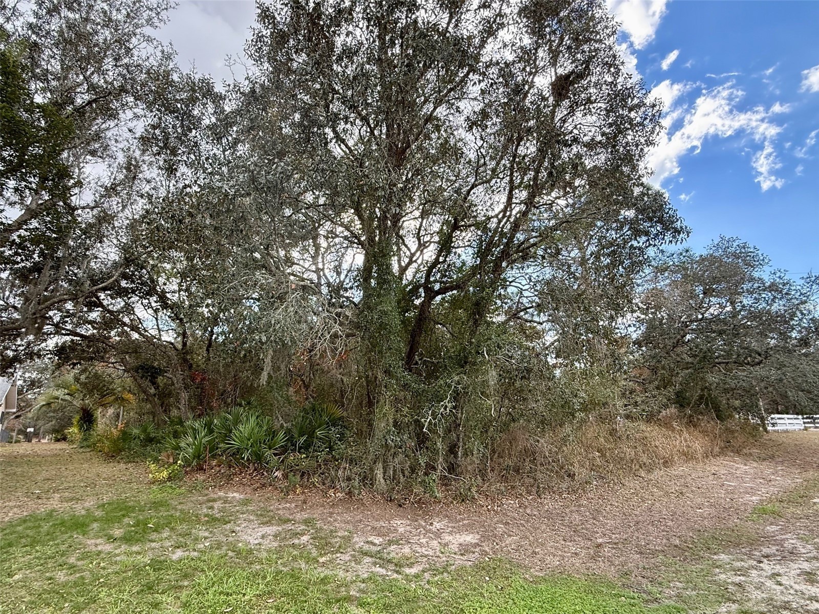 0 Centralia Road Weeki Wachee FL 34614 W7881858 image6