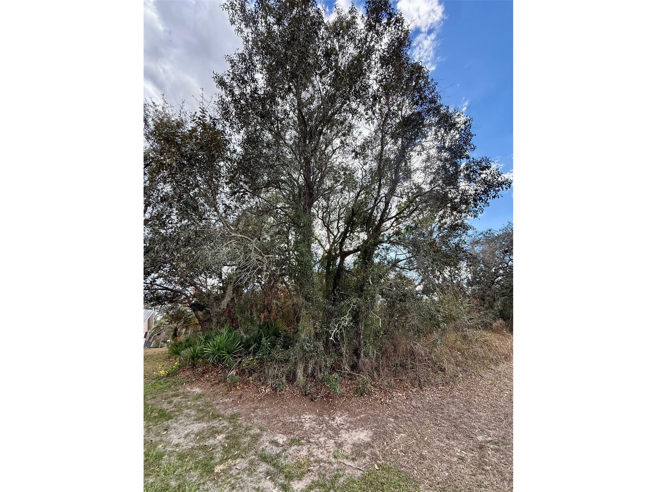 0 Centralia Road Weeki Wachee FL 34614 W7881858 image8