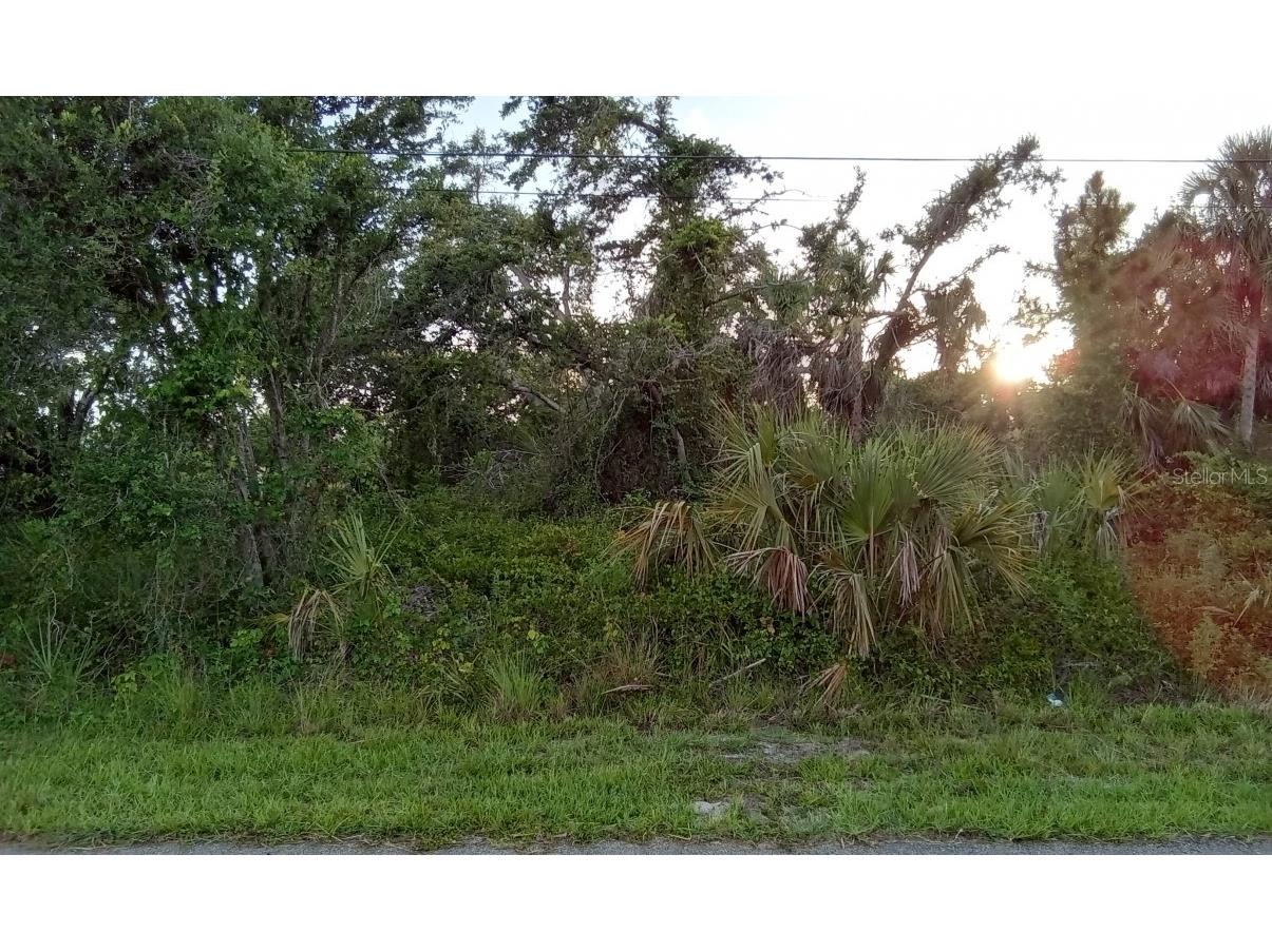 0 Chamrade Road #39 North Port FL 34288 O6134202 image1