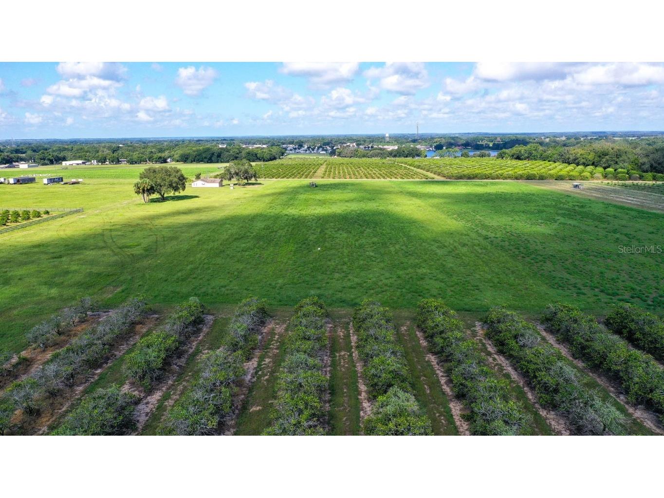 0 Charles Osborne Road Umatilla FL 32784 O6236870 image1