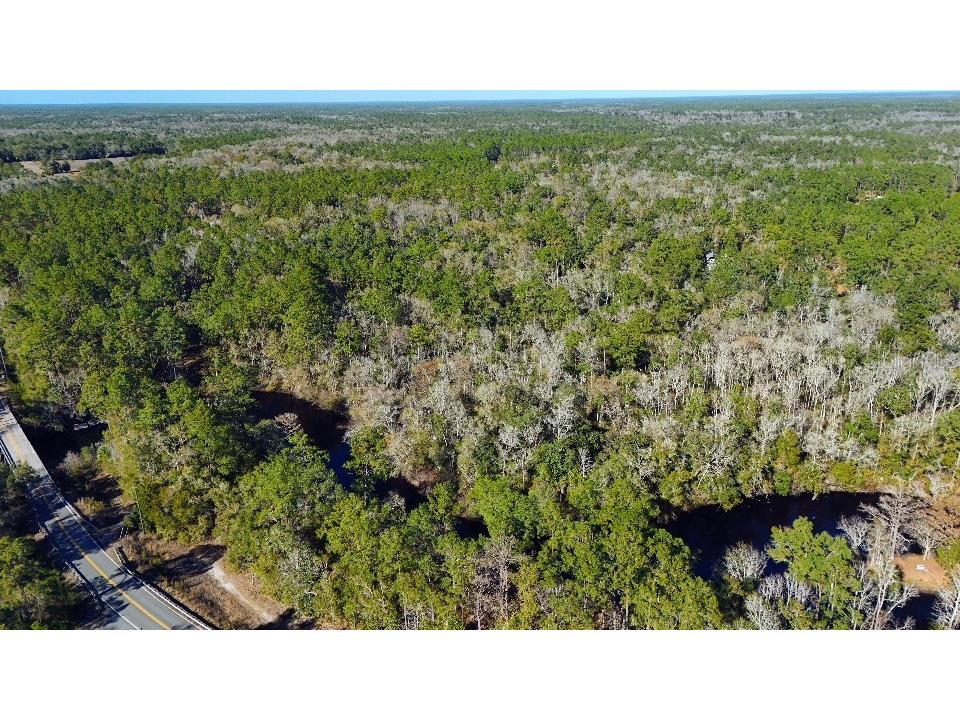 0 Cherokee Drive Sopchoppy FL 32358 TB8504402 image11