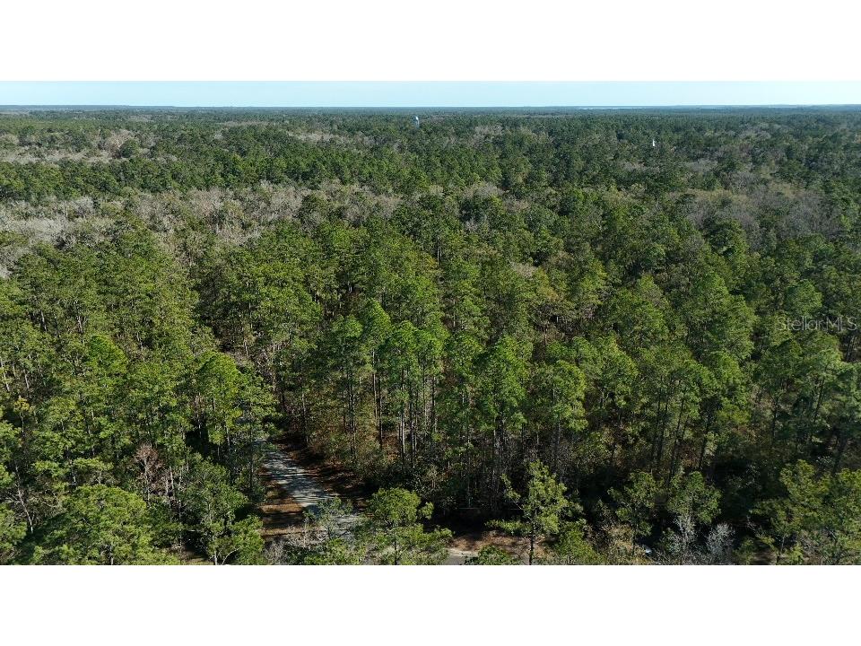 0 Cherokee Drive Sopchoppy FL 32358 TB8504402 image12