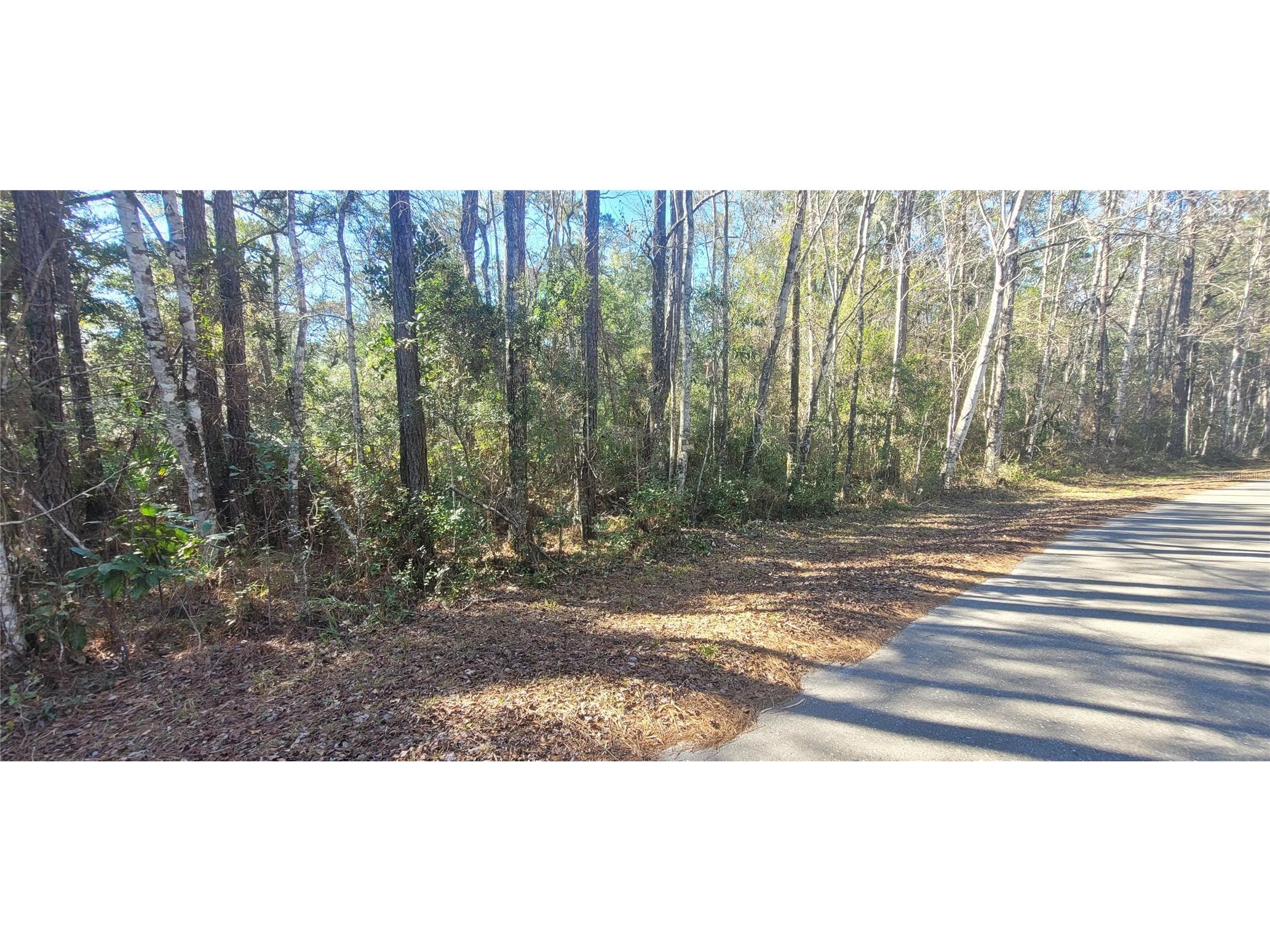 0 Cherokee Drive Sopchoppy FL 32358 TB8504402 image14