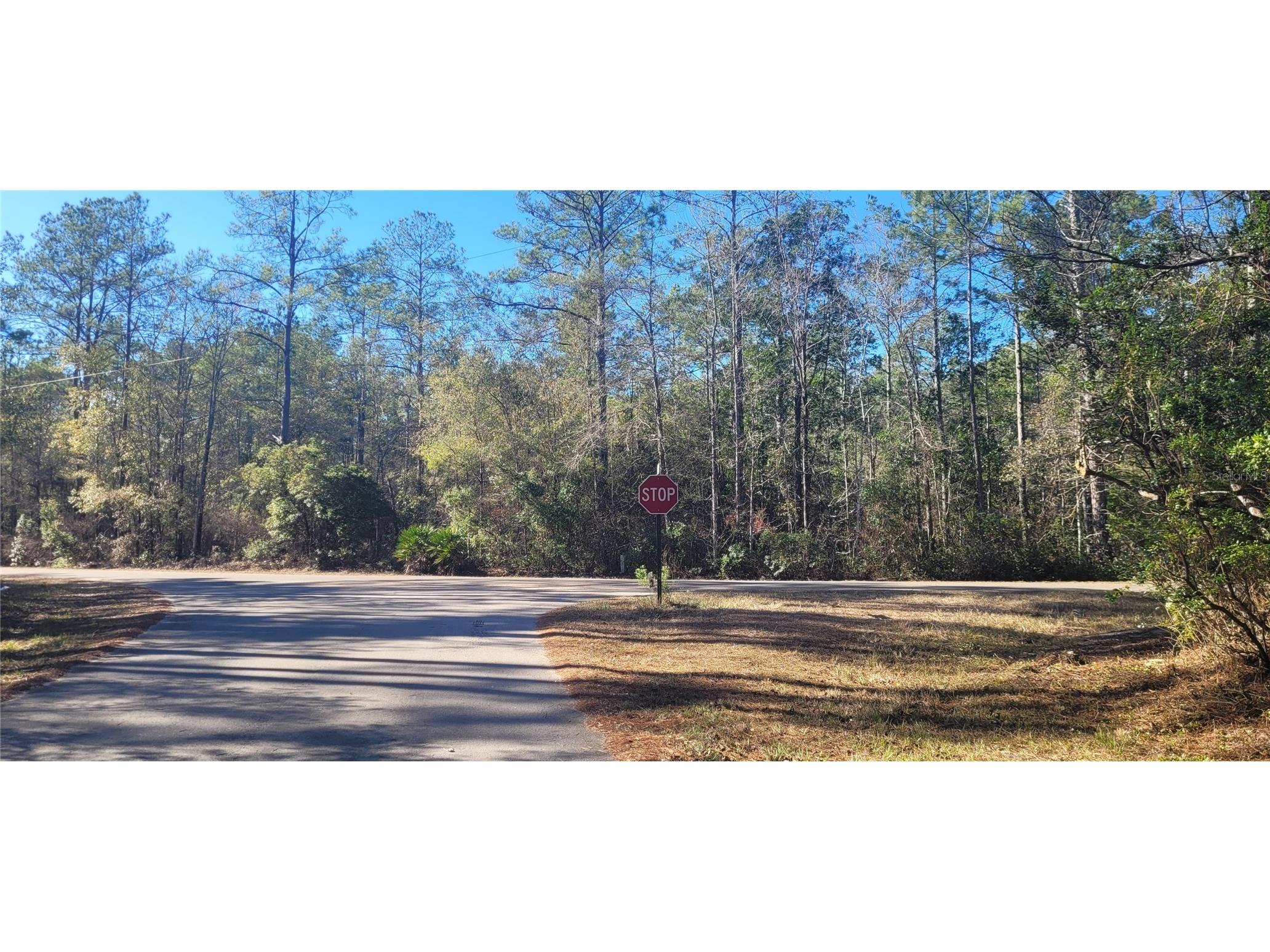 0 Cherokee Drive Sopchoppy FL 32358 TB8504402 image16