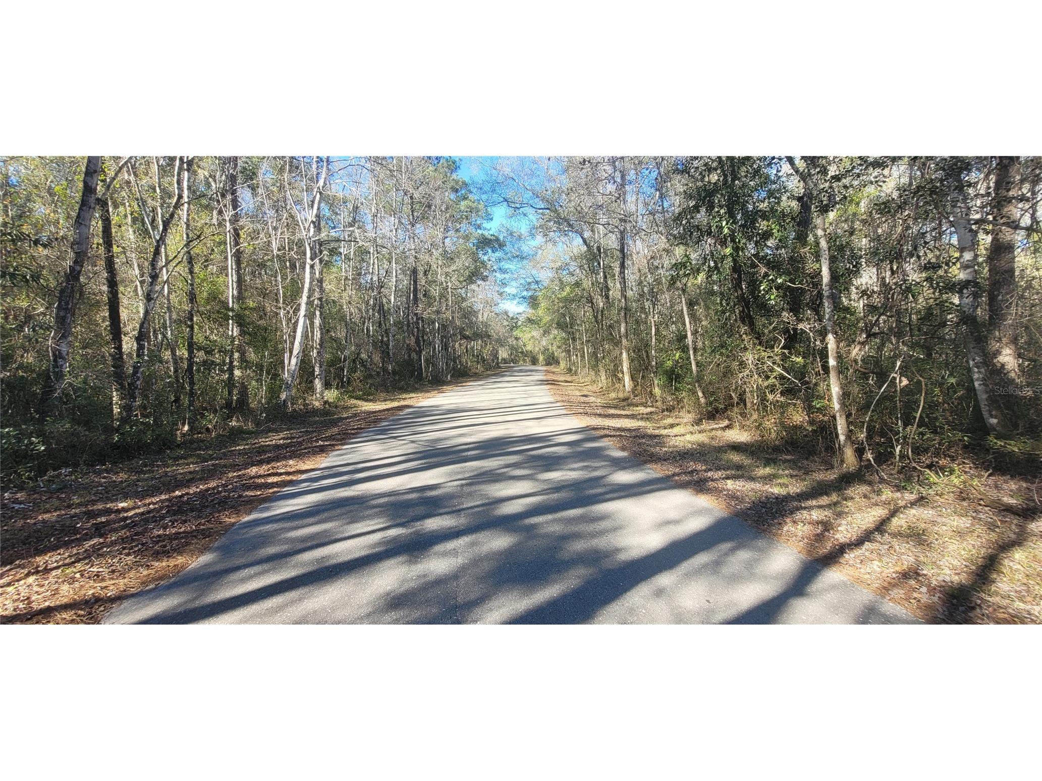 0 Cherokee Drive Sopchoppy FL 32358 TB8504402 image19