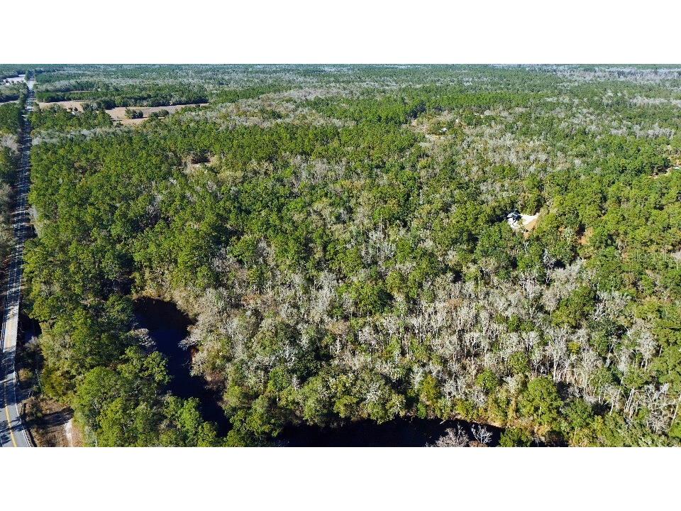 0 Cherokee Drive Sopchoppy FL 32358 TB8504402 image20