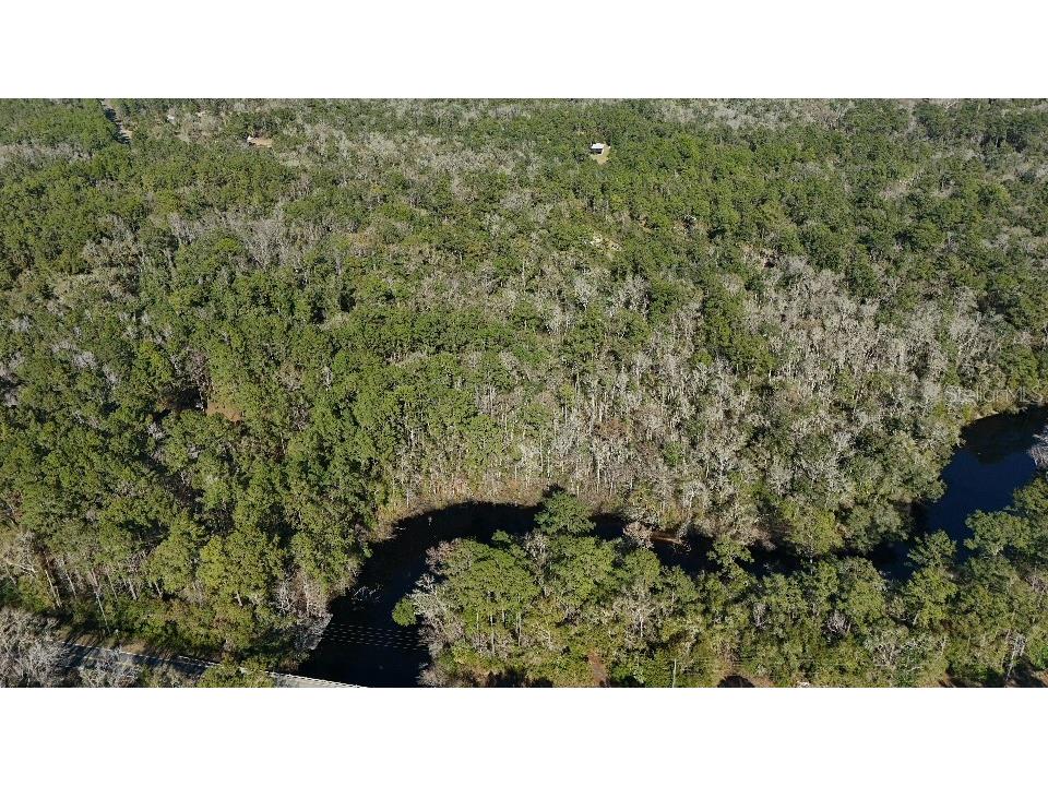 0 Cherokee Drive Sopchoppy FL 32358 TB8504402 image4
