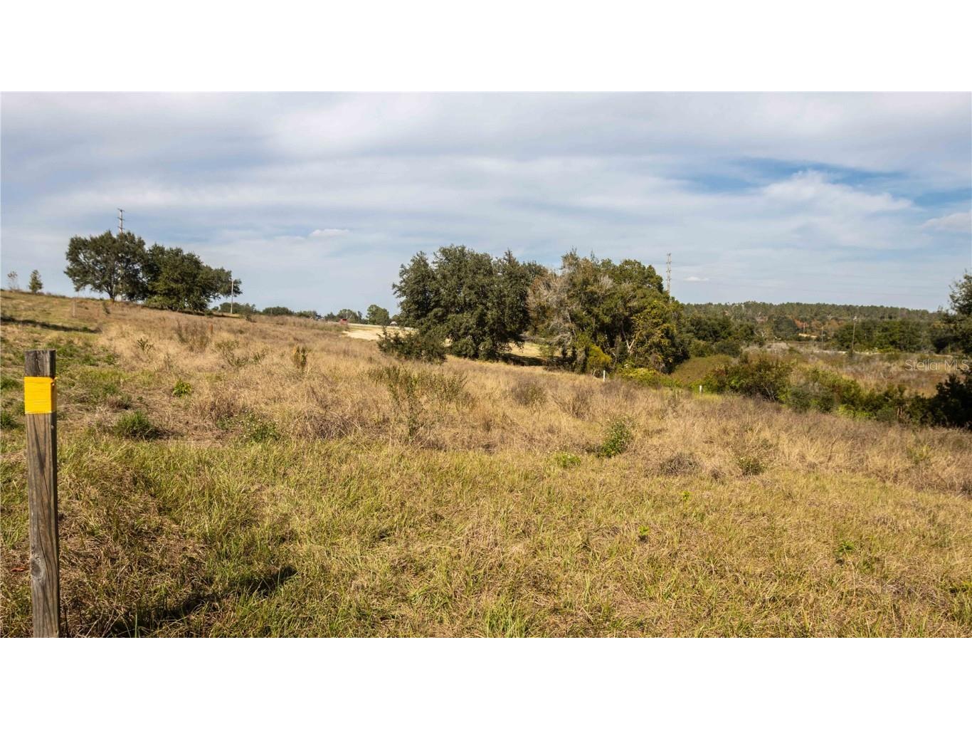 0 Cherry Lake Road Groveland FL 34736 - Cherry Lake TB8451141 image12