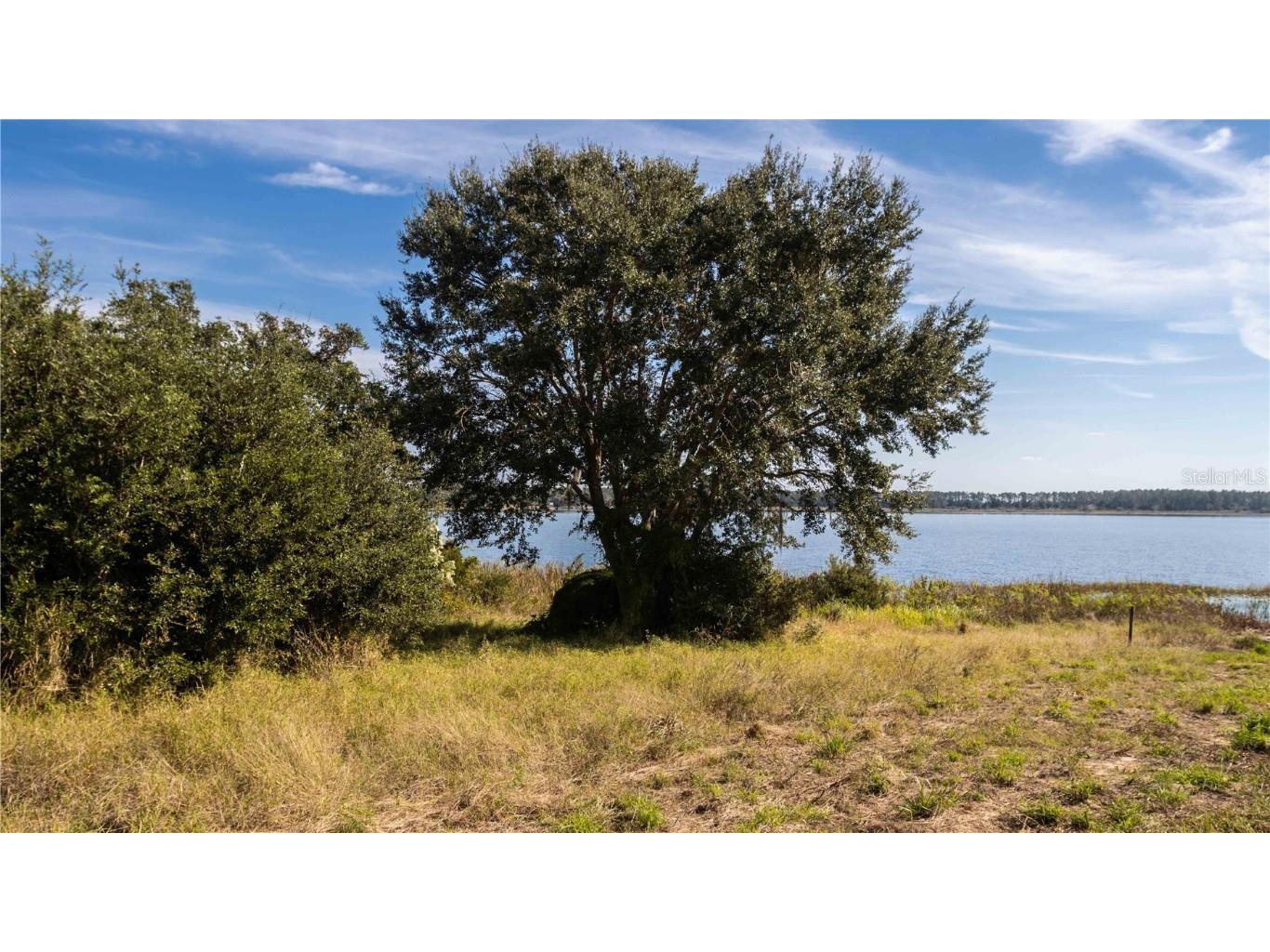 0 Cherry Lake Road Groveland FL 34736 - Cherry Lake TB8451141 image13