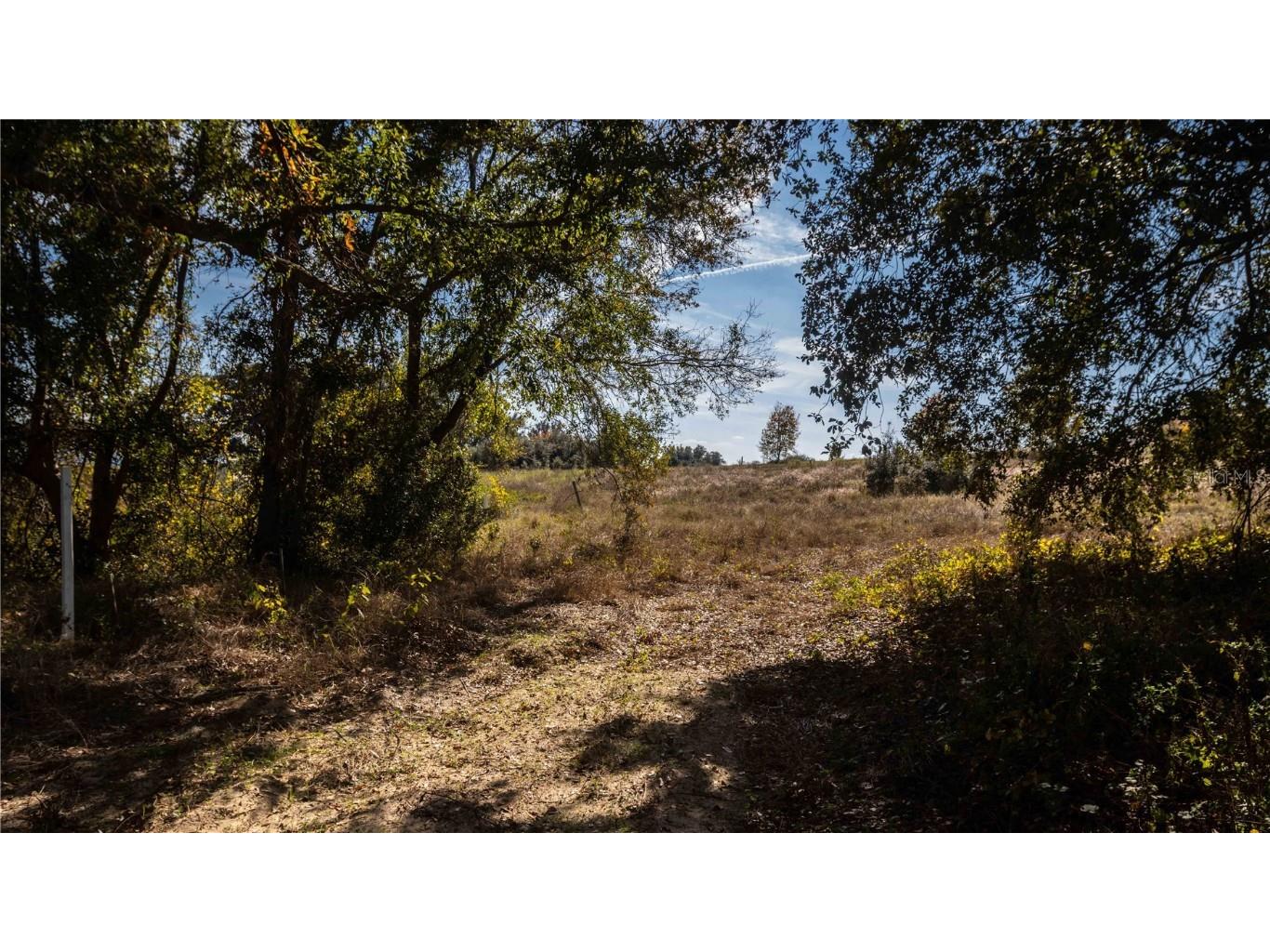 0 Cherry Lake Road Groveland FL 34736 - Cherry Lake TB8451141 image15