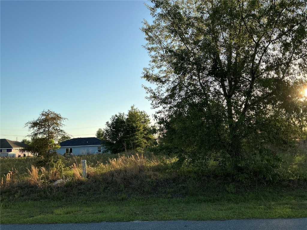 0 Chestnut Lane Ocala FL 34480 OM701156 image1