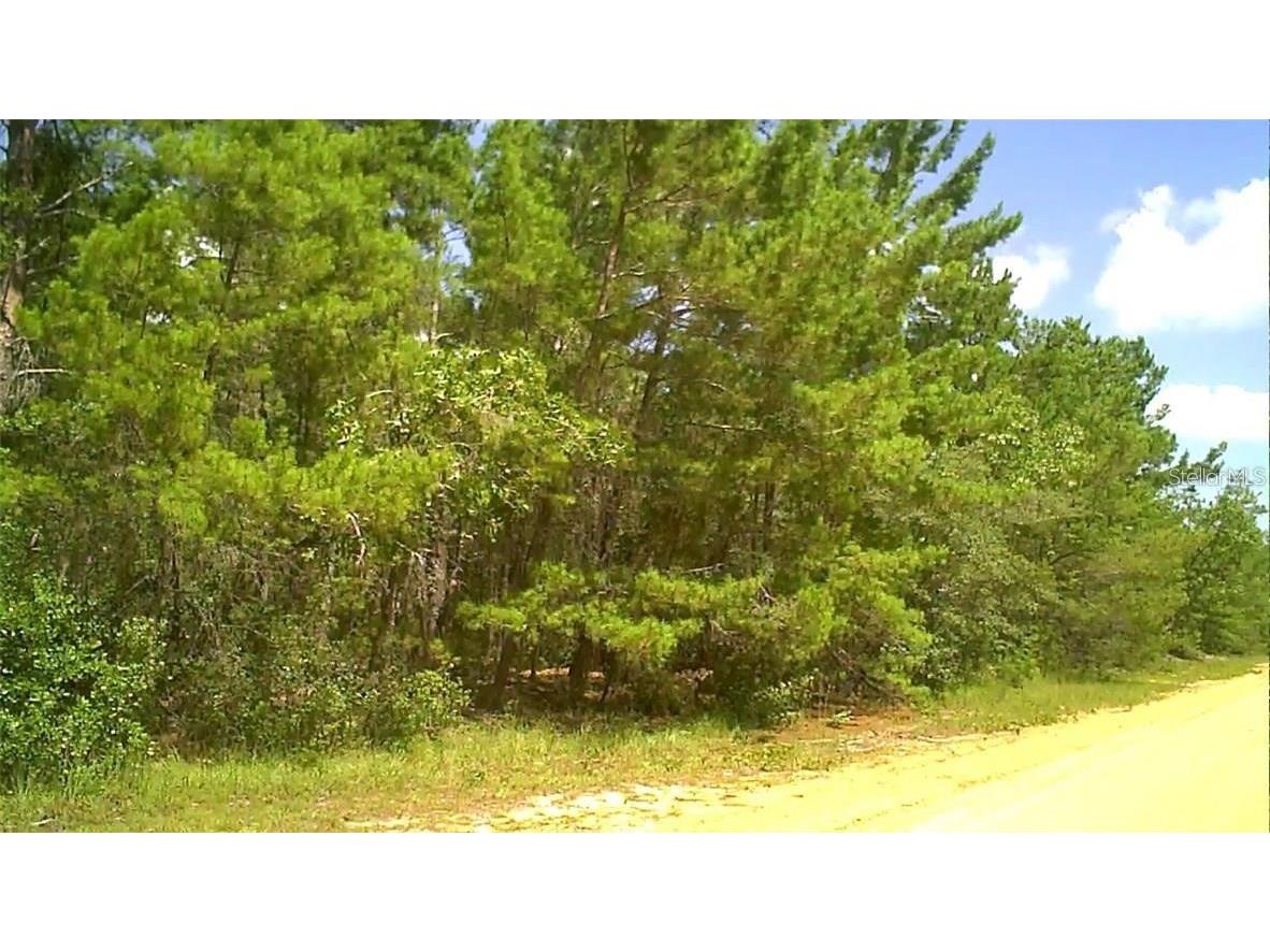 0 Childs Road Interlachen FL 32148 T3550881 image1