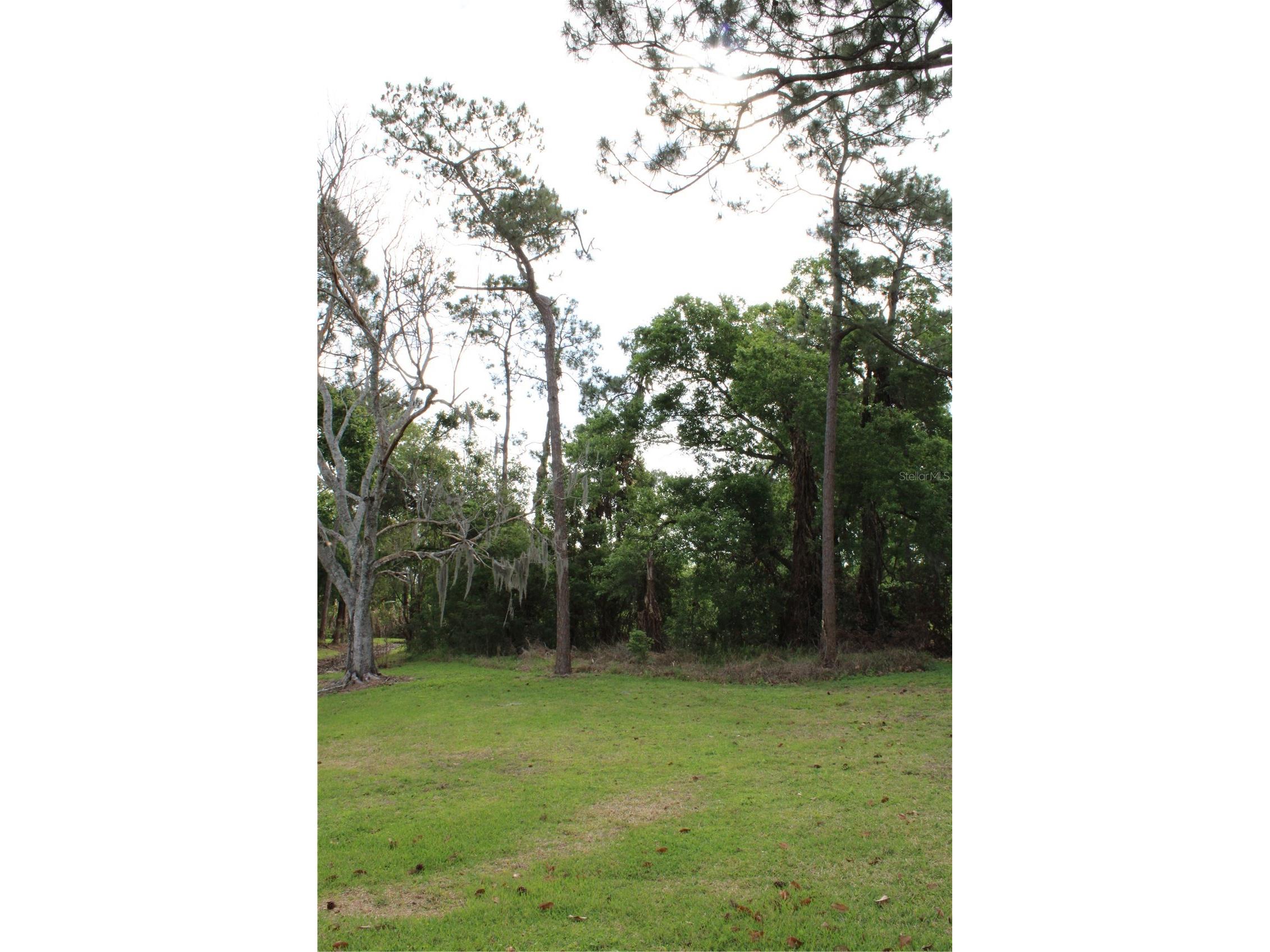 0 Chinaberry Drive Winter Haven FL 33881 P4938274 image5