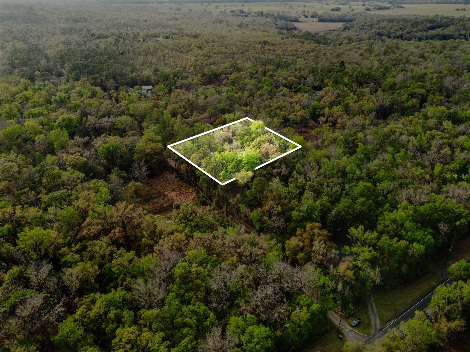 0 Chisholm Street Brooksville FL 34601 TB8485367 image2