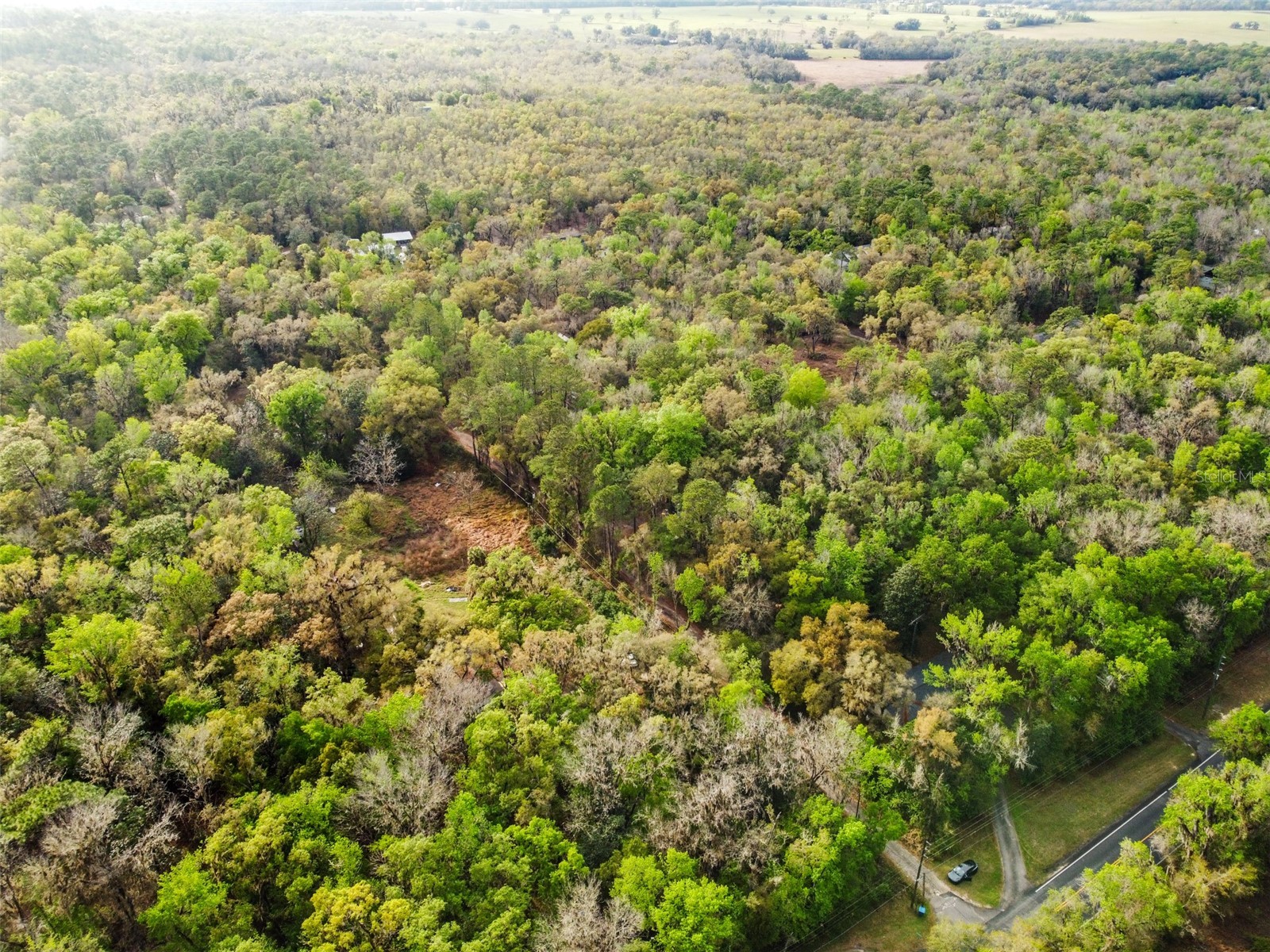 0 Chisholm Street Brooksville FL 34601 TB8485367 image3