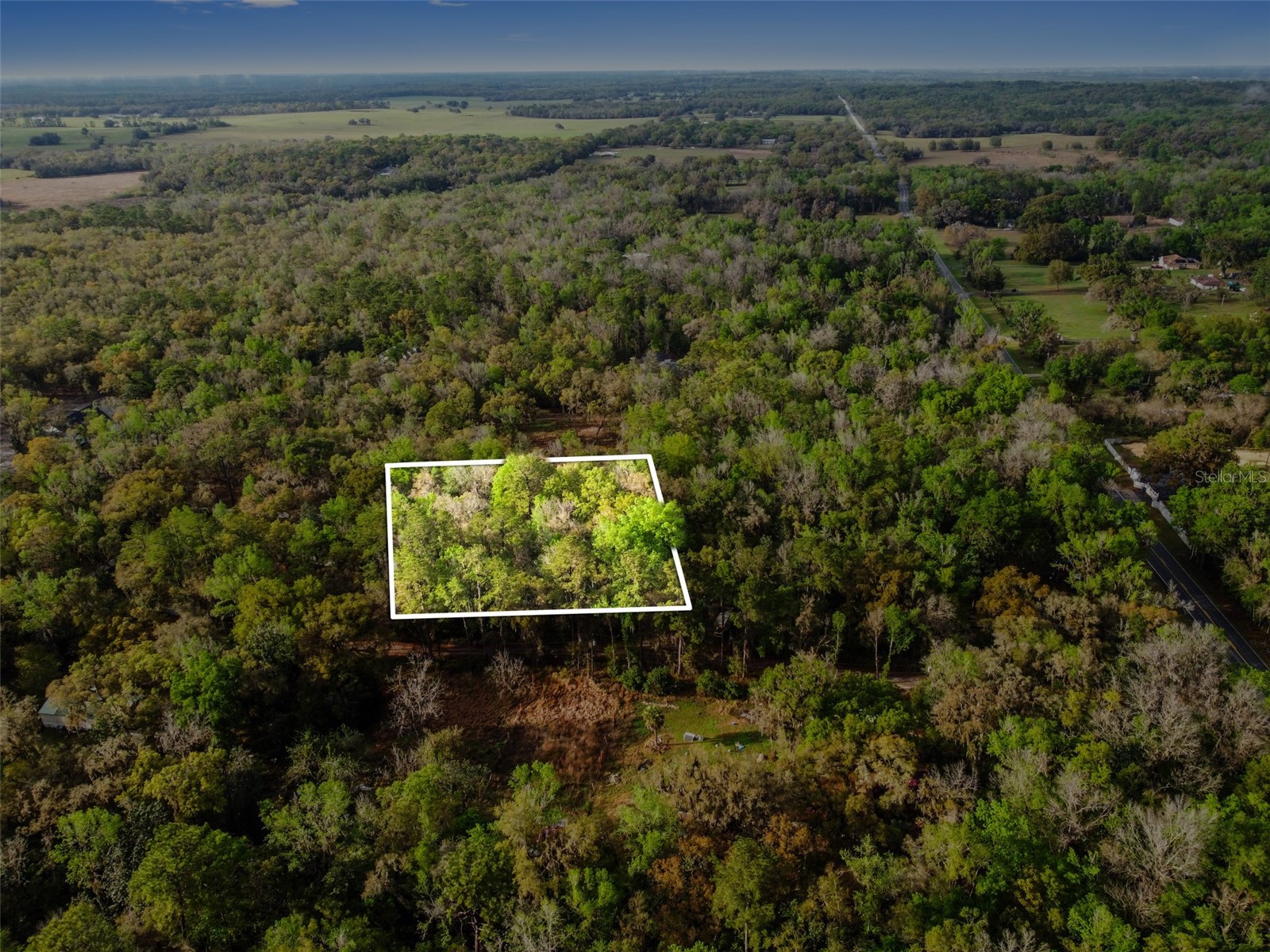 0 Chisholm Street Brooksville FL 34601 TB8485367 image4