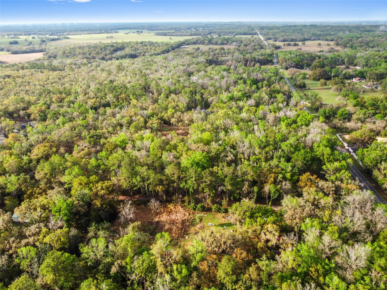 0 Chisholm Street Brooksville FL 34601 TB8485367 image5