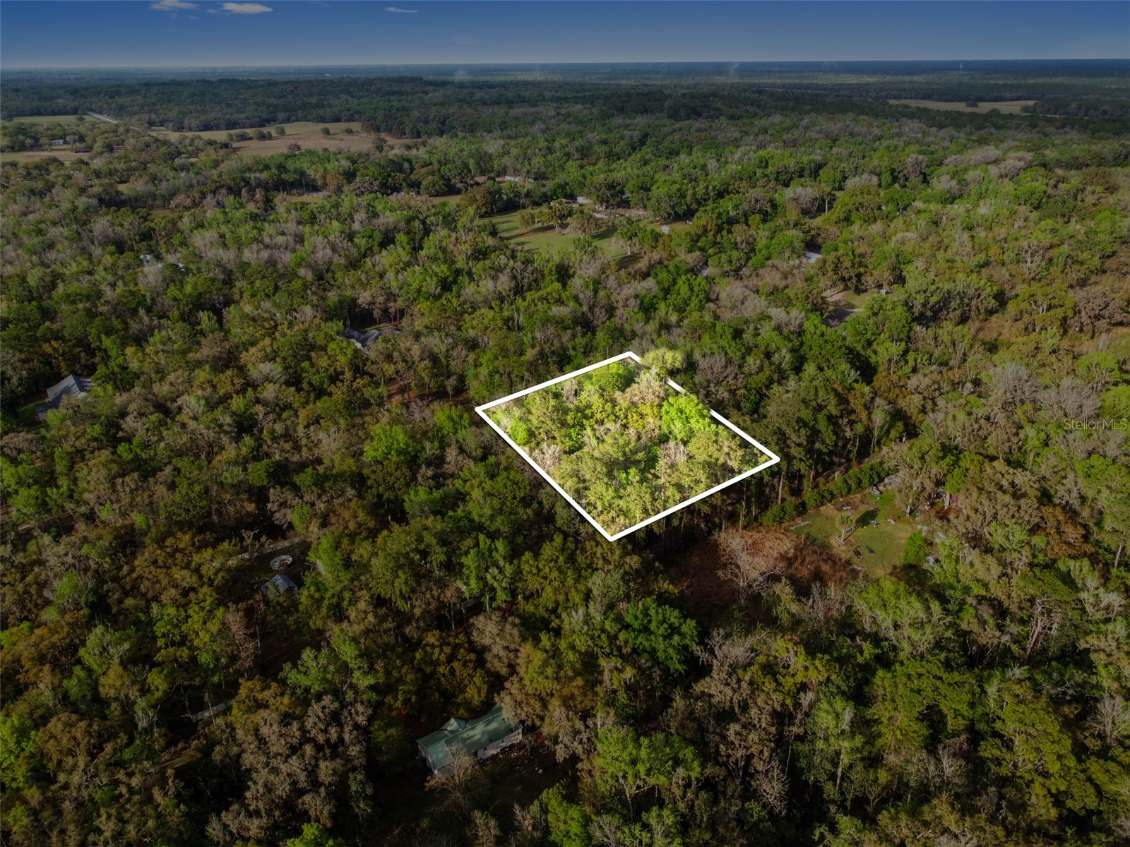 0 Chisholm Street Brooksville FL 34601 TB8485367 image6