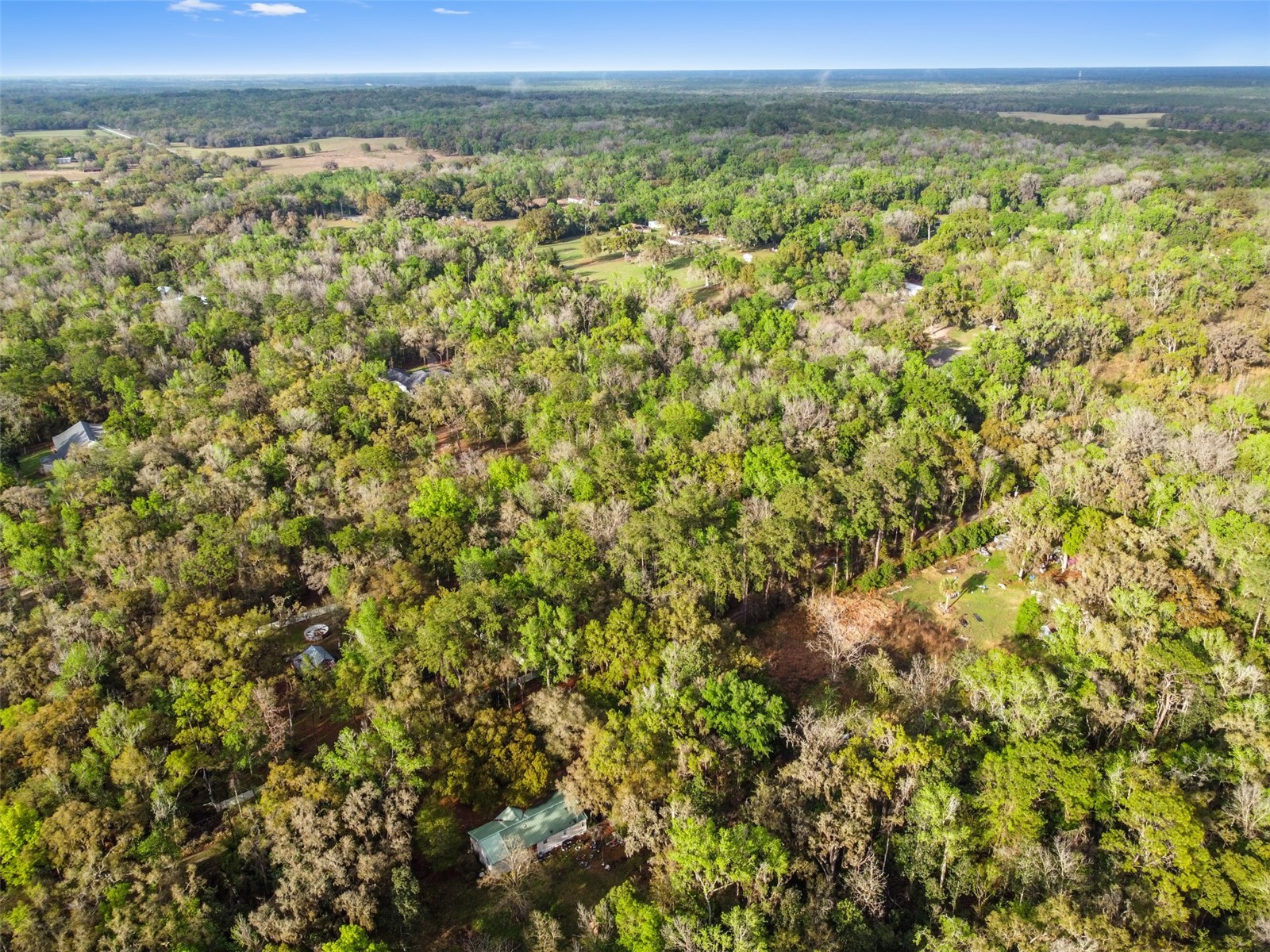 0 Chisholm Street Brooksville FL 34601 TB8485367 image7