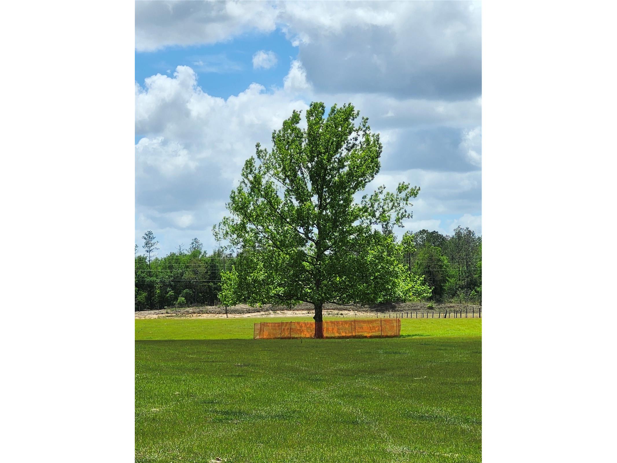 0 Christian Road #LOT 1 Dade City FL 33523 TB8499965 image2