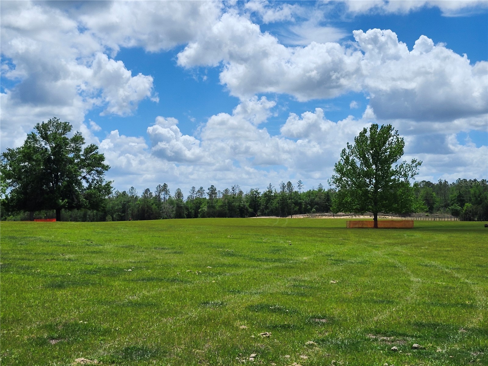 0 Christian Road #LOT 1 Dade City FL 33523 TB8499965 image5