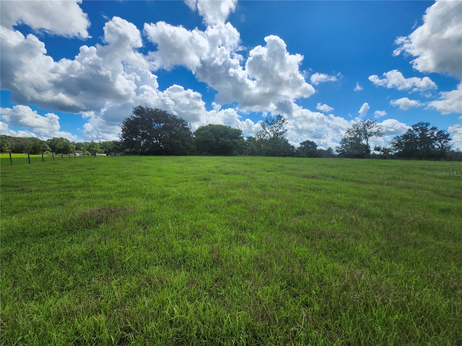 0 Christian Road #LOT 1 Dade City FL 33523 TB8499965 image6