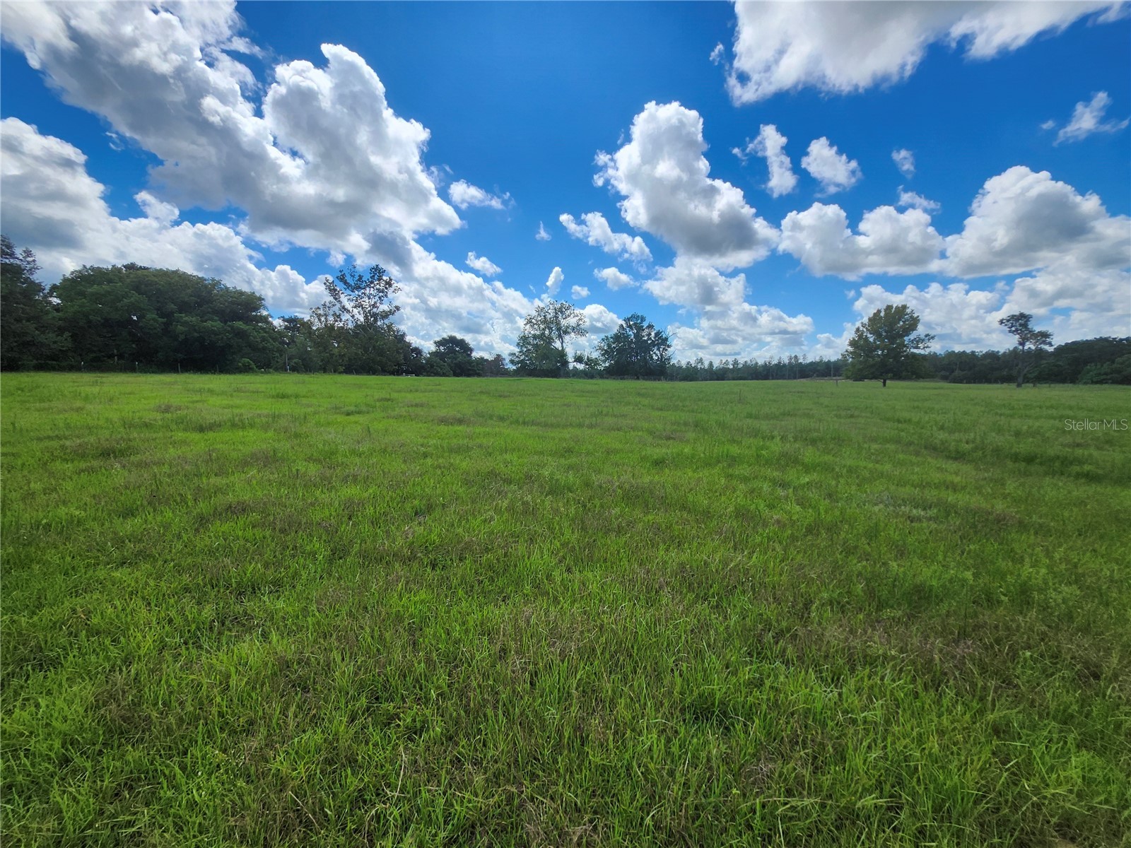 0 Christian Road #LOT 1 Dade City FL 33523 TB8499965 image7