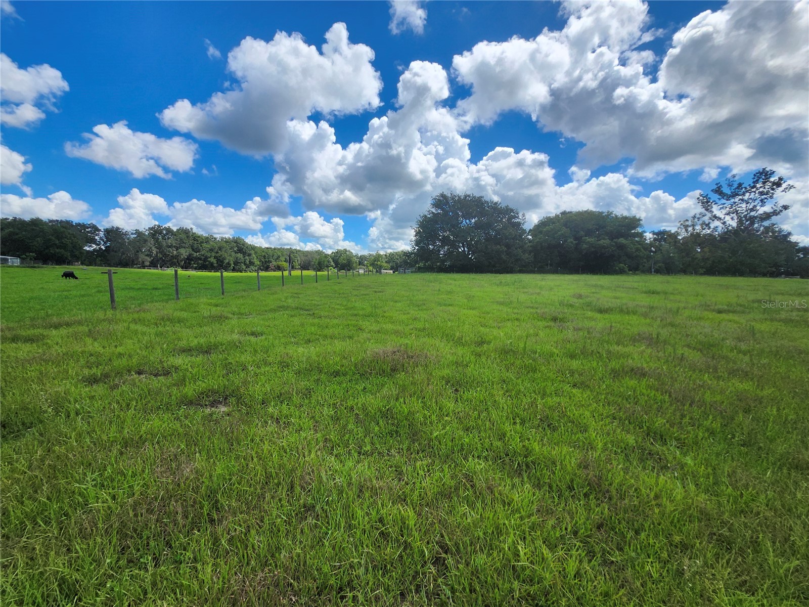 0 Christian Road #LOT 1 Dade City FL 33523 TB8499965 image8