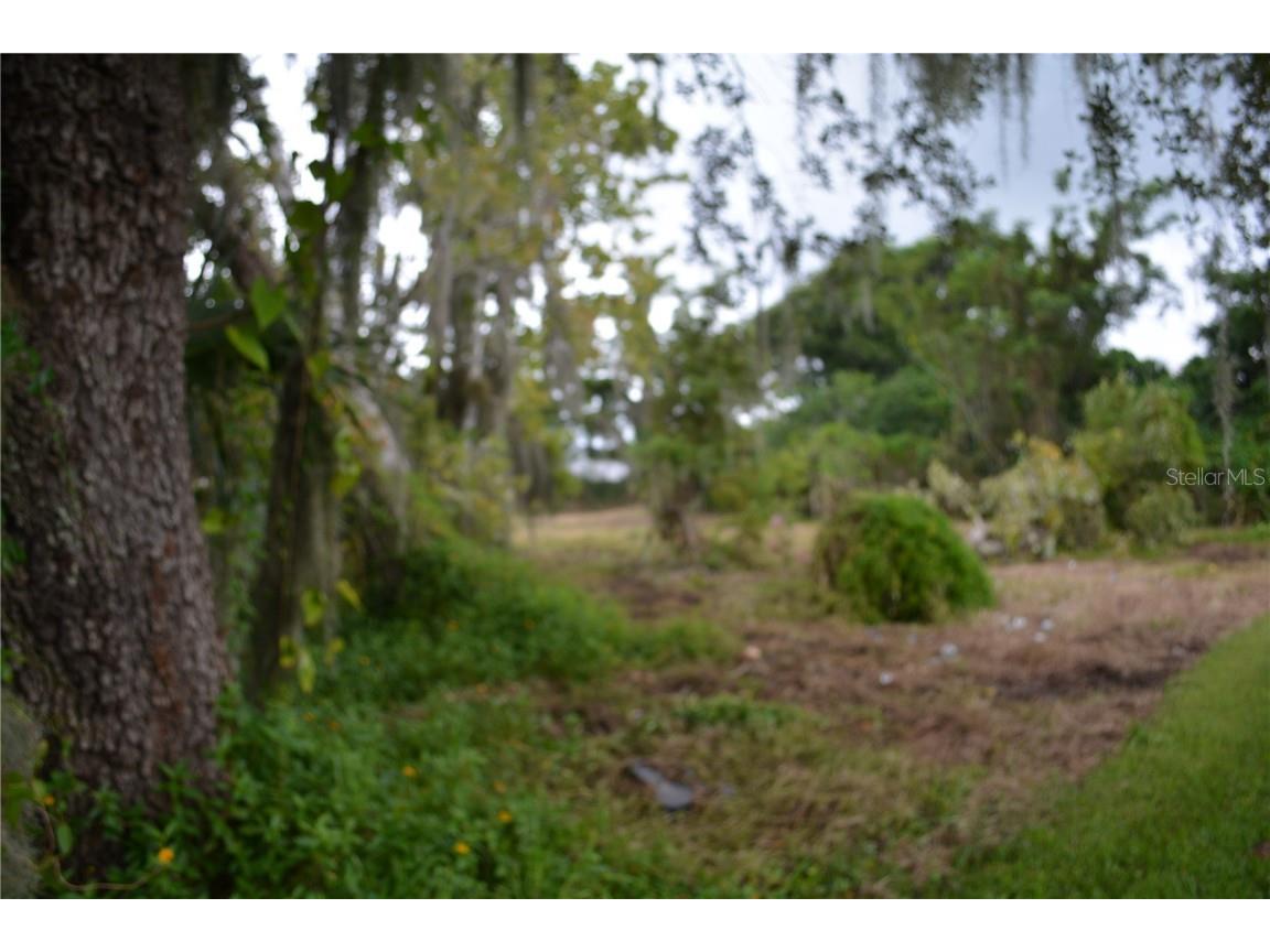 0 Chuluota Road Oviedo FL 32765 O6160436 image11