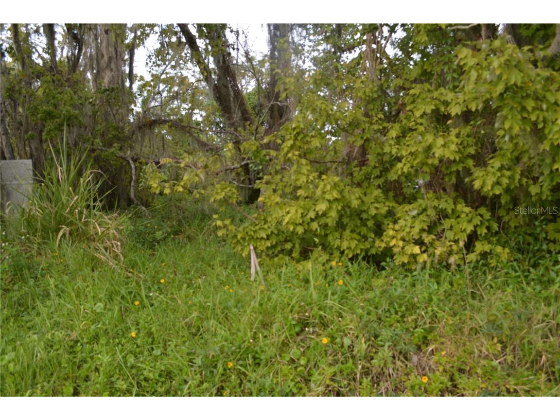 0 Chuluota Road Oviedo FL 32765 O6160436 image13